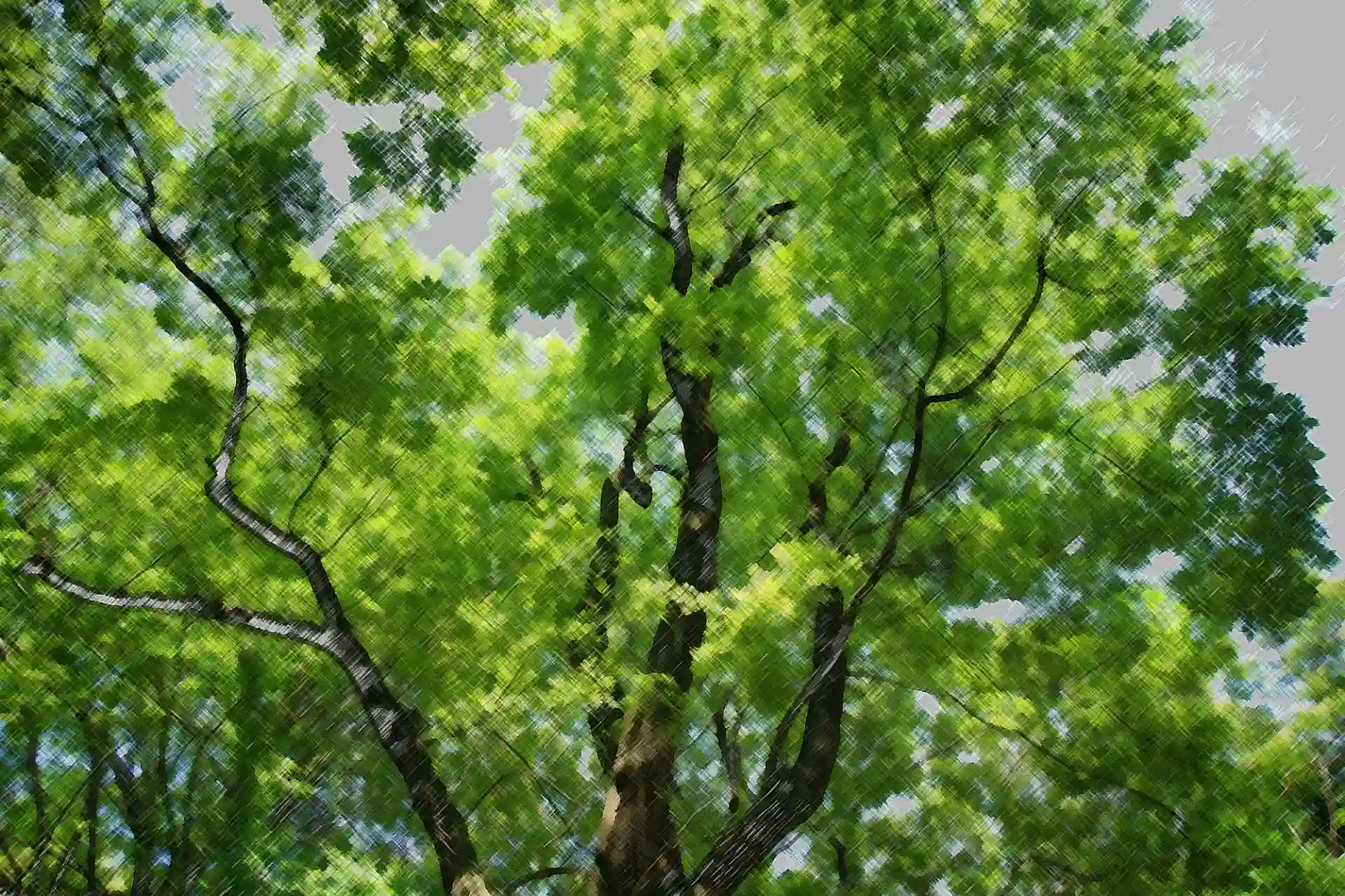 企業理念